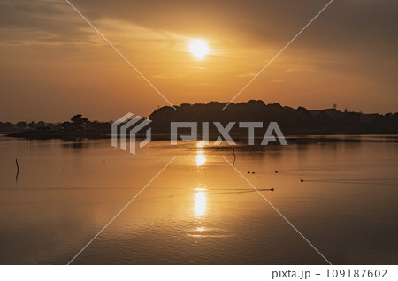 群馬　多々良沼の夕景 109187602