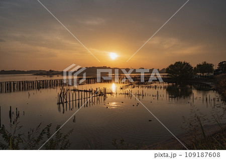 群馬 多々良沼の夕景 群馬 多々良沼の夕景 109187608