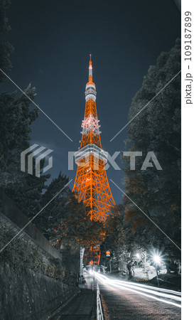 丘の上の東京タワー 丘の上の東京タワー 109187899