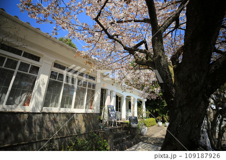 春の神戸北野美術館(日本 兵庫県神戸市) 春の神戸北野美術館(日本 兵庫県神戸市) 109187926