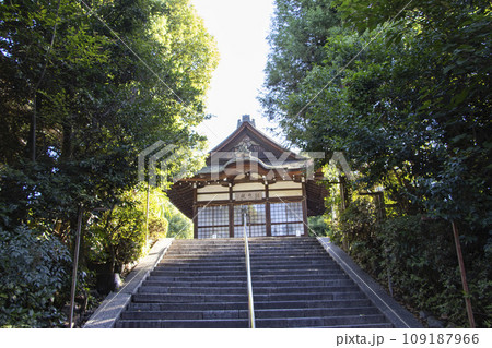 宇治神社 拝殿 桐原殿 109187966