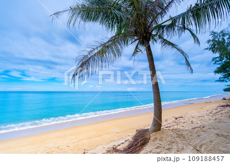 Tropical sea in Phuket thailand,Beautiful sea beach with coconut palm trees on the beach,Phuket island Thailand 109188457