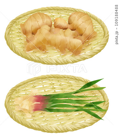 ザルにのった生姜のイラストセット 109188488