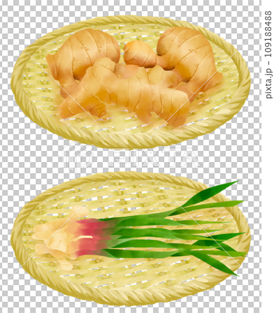 ザルにのった生姜のイラストセット 109188488