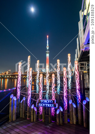 「東京都」東京下町回廊・竹あかりの風景 109188829