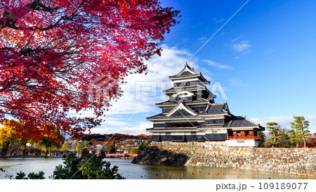 長野県 紅葉 秋の松本城 109189077