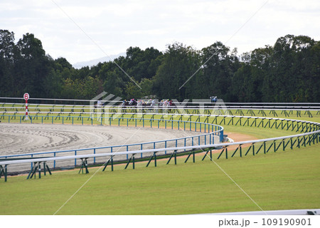 京都競馬場 芝外回り 京都競馬場 芝外回り 109190901