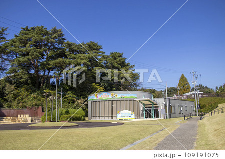 豊田市動物愛護センター 109191075