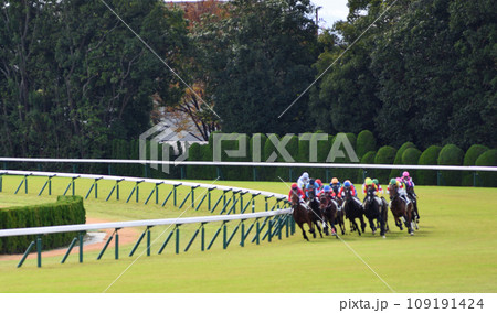 京都競馬場芝コース 109191424