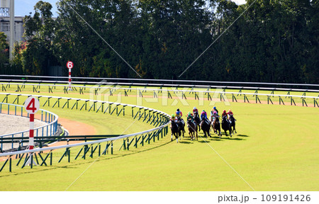 京都競馬場芝コース 109191426