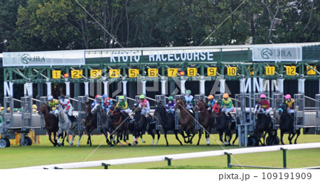 京都競馬場 ゲートオープン 京都競馬場 ゲートオープン 109191909