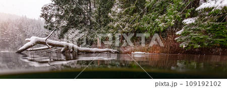 Cold Glacier Lake covered in snow in the Canadian Mountain Landscape. Winter Season 109192102
