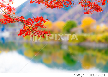 丹沢湖の紅葉 109192521