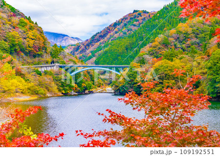 丹沢湖の紅葉 109192551