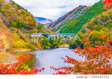 丹沢湖の紅葉 109192552