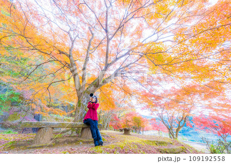 丹沢湖の紅葉 109192558