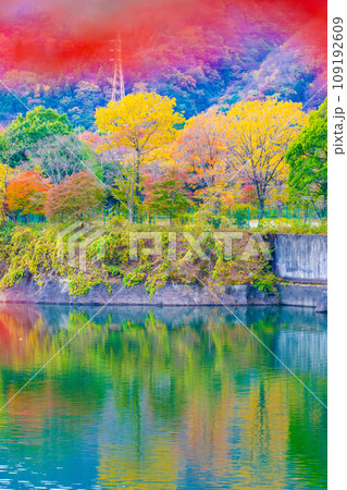丹沢湖の紅葉 109192609