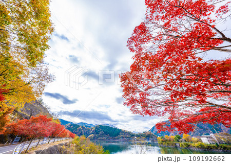丹沢湖の紅葉 109192662