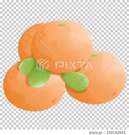 Watercolor orange leaf cartoon of concept Chinese new year decorate illustration Watercolor orange leaf cartoon of concept Chinese new year decorate illustration 109192665