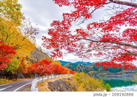 丹沢湖の紅葉 丹沢湖の紅葉 109192666