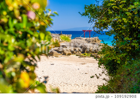 白浜神社の鳥居 109192908