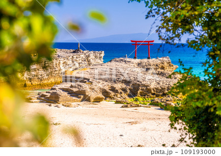 白浜神社の鳥居 109193000