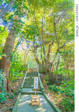 白浜神社の本殿 109193001