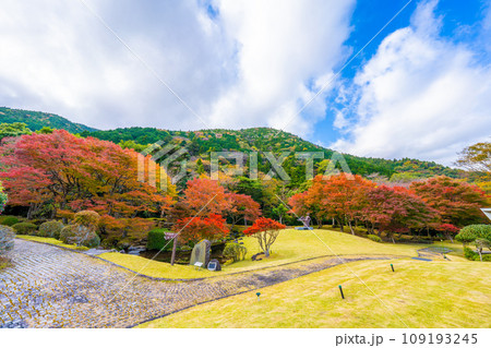 昭和の森会館の紅葉 109193245