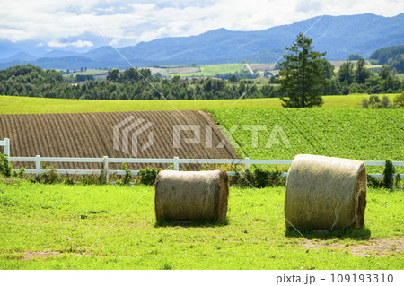 北海道 美瑛の「新栄の丘展望公園」の牧草ロール 109193310