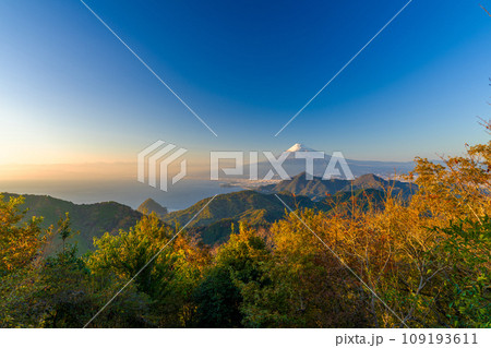 伊豆パノラマパークの秋　 109193611