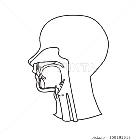 頭部口からのどの人体解剖図のシンプルイラストモノクロ線画タイプ 109193612