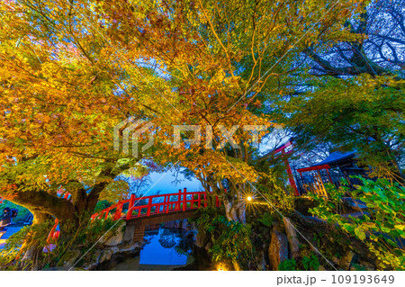 伊豆パノラマパークの秋　 109193649