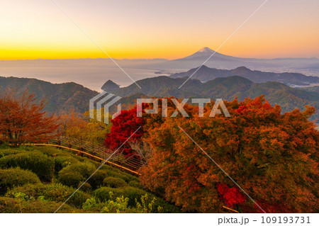 izu.ページ 109193731.jpg