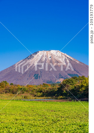 (鳥取県)快晴の桝水高原・棚田・雪化粧した大山 (鳥取県)快晴の桝水高原・棚田・雪化粧した大山 109193779