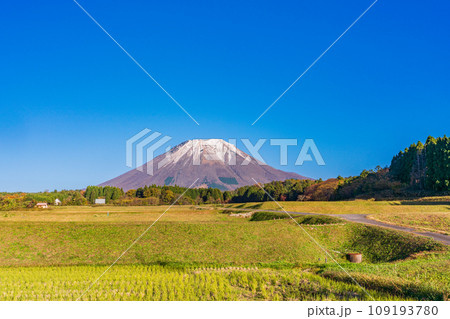 （鳥取県）快晴の桝水高原・棚田・雪化粧した大山 109193780