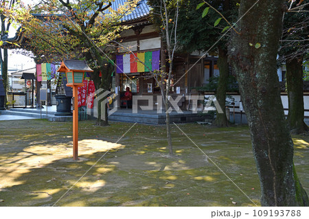 小江戸川越の街風景 境内 小江戸川越の街風景 境内 109193788