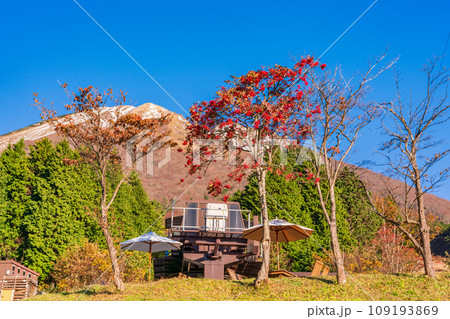 （鳥取県）ますみず高原スノーパークの紅葉と雪化粧した大山 109193869