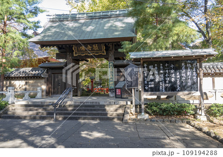 色付き始めの九品仏浄真寺総門 109194288