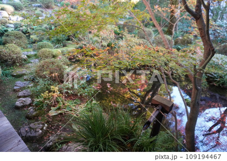 三千院の秋 三千院の秋 109194467