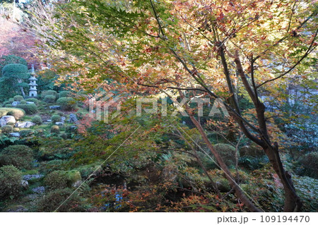 晩秋の三千院 晩秋の三千院 109194470