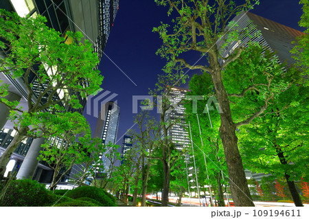【大阪府】大阪ビジネスパークとの夜景 109194611