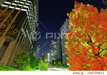 【大阪府】大阪ビジネスパークとの夜景 109194621
