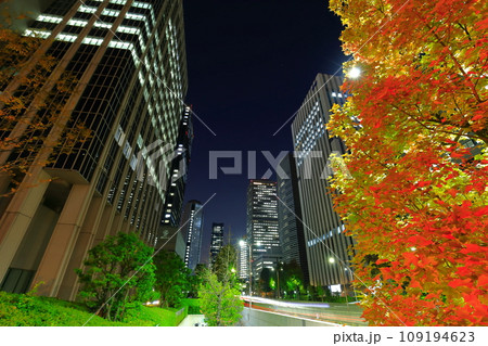 【大阪府】大阪ビジネスパークとの夜景 109194623
