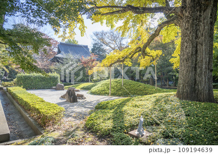 初秋の九品仏浄真寺枯山水 109194639