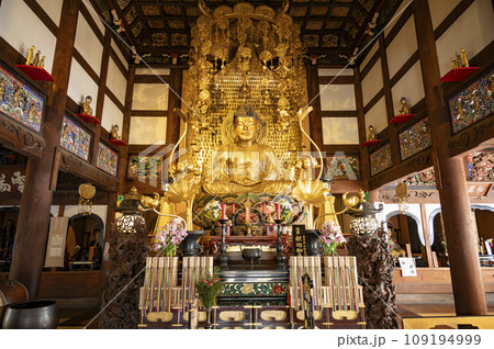 九品仏浄真寺・釈迦如来坐像 109194999
