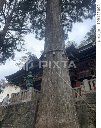 三峰神社 三峰神社 109195009
