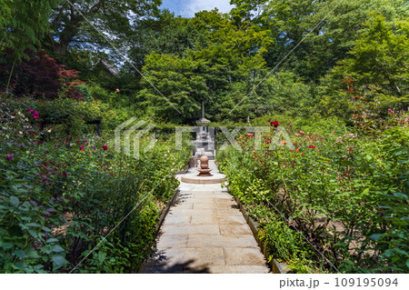宮城松島 円通院 初夏の白華峰西洋の庭 宮城松島 円通院 初夏の白華峰西洋の庭 109195094
