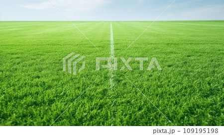 Lush green lawn grass with white line marking at new large football stadium closeup 109195198