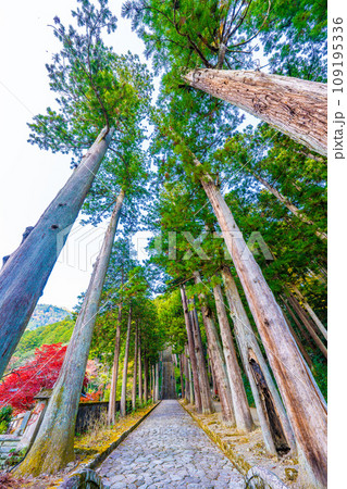 身延山の参道 109195336