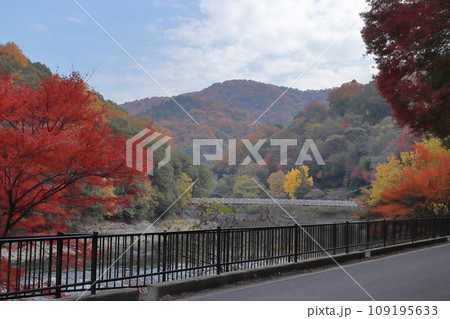 京都 宇治川の秋の景色 京都 宇治川の秋の景色 109195633